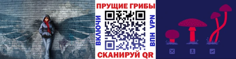 Псилоцибиновые грибы MAGIC MUSHROOMS  МЕГА сайт  маркетплейс как зайти  Строитель 