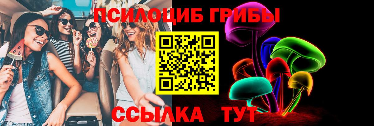 Строитель  Псилоцибиновые грибы GOLDEN TEACHER  даркнет сайт  Вход с VPN 